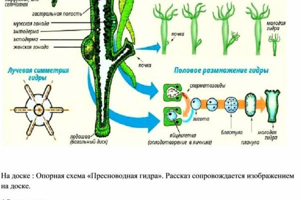 Как найти официальный сайт кракен